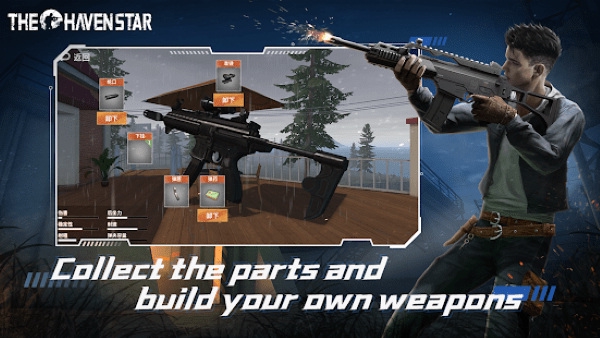 代号海文星图片1