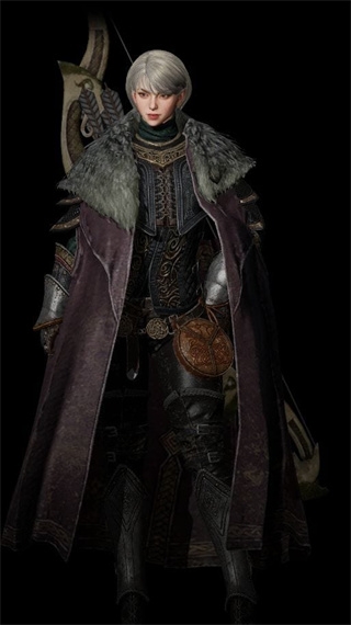 奥丁神叛游戏职业介绍图片2