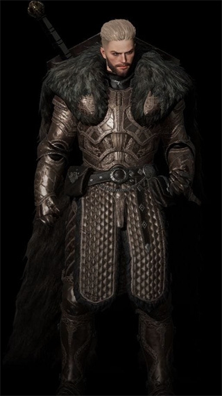 奥丁神叛游戏职业介绍图片4