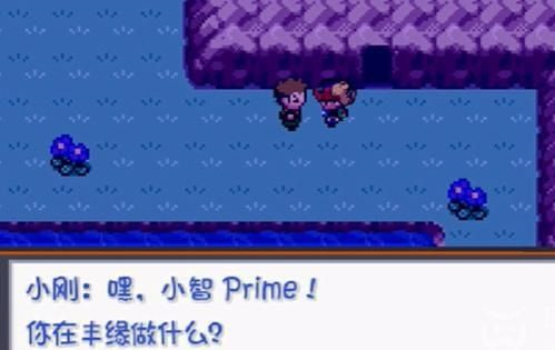 口袋妖怪燃之智游戏截图7