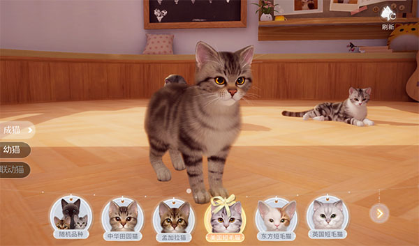 我和我的猫新手攻略截图1