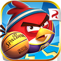 愤怒的小鸟嘉年华
