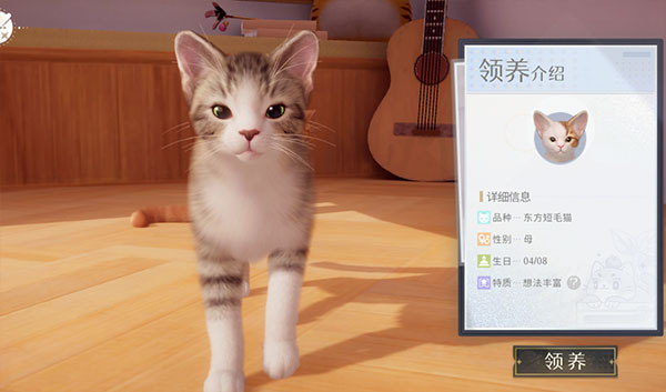 我和我的猫新手攻略截图2