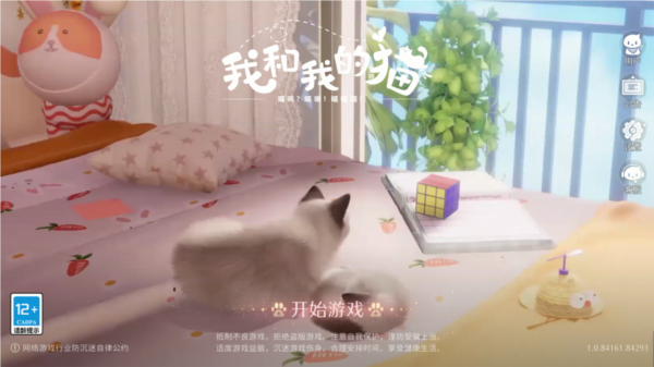 我和我的猫图片1