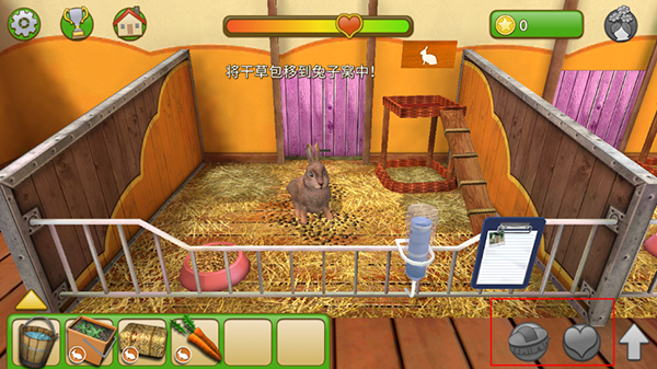 宠物世界3D我的动物救援新手教程8