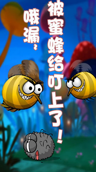 蜘蛛仔豆豆图片