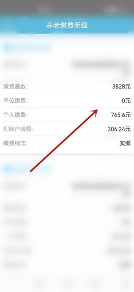 怎么查询缴费记录明细4